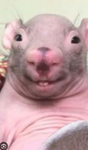 YoU aRe S-L-A-Y-I-N-G T-H-E D-A-Y A-W-A-Y