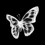 Pink Butterfly_