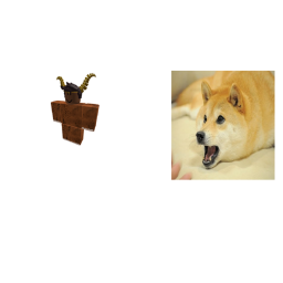 doge