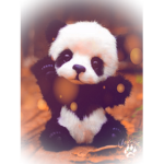 Pandas are cute :3