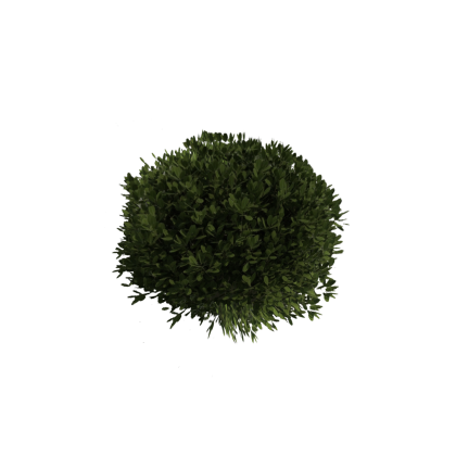 Realistic Bush