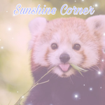 Sunshine Corner