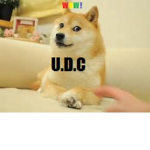 United Doge Community|U.D.C