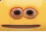 IMDEADS