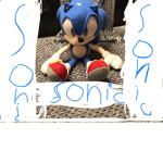 Modern society of sonic plushes