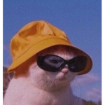 Kittysthetic ツ