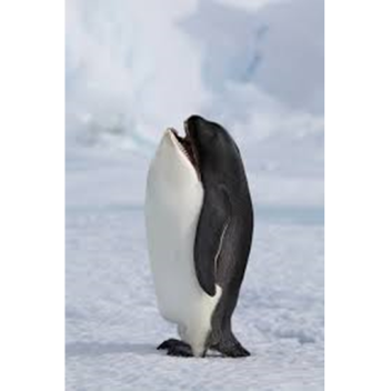 Nascar Sim Cup Series Season 3 | 7 - 34 Texas