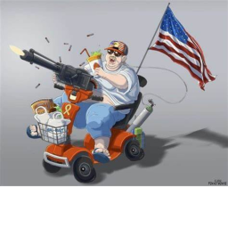 usa simulator