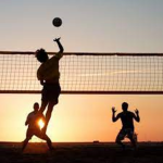 Volleyball People Fans