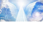 angels•