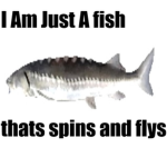 Flying Spinning Fish Studio