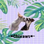 **¢нιχαωѕ**