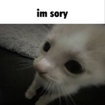 Gggg123gh
