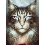 Warrior cat club!!!!!