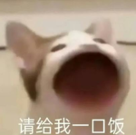 干饭第一步兵团