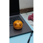 #### PPL
