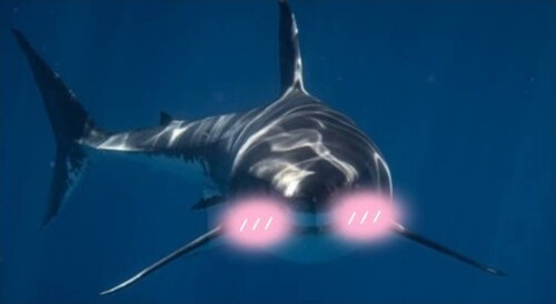 [BETA 2] Epic shark invasion 🦈