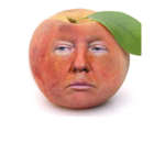 Donald peaches