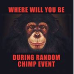 Random Chimp Event