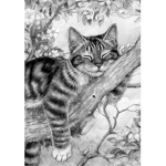 {<ForestClan>}