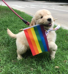 ・LGBTQ・