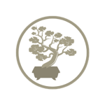 Bonsai Studio's