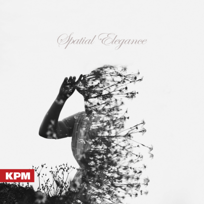 Ambient Skies b Roblox music