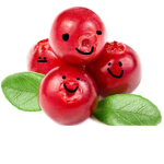 Cranberry Inc.