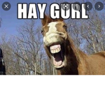 yus queen lol lol lol lol