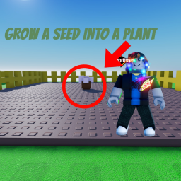 Grow a seed into plant
