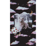 Aᴇsᴛʜᴇᴛɪᴄ ᴅᴏɢɢɪᴇs