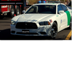 Us border patrol fan group