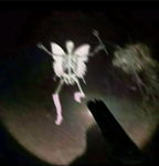 Raccoons from space :O
