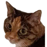 catcIubb