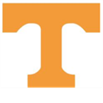 Tennessee Volunteers Fan's