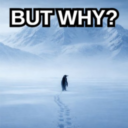 [🐧] BUT WHY?
