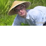 Rice_Fields