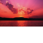 Sunset army! <3
