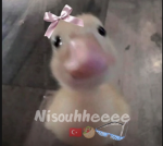 NINI_OFF