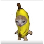 Doge Clothes And Games