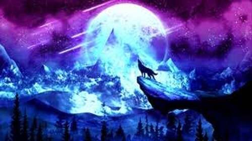 Wolves Spaceway