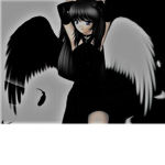 DarkRose_YT FAN CLUB