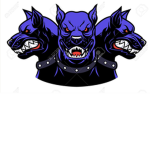 ~Cerberus server~