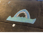 The shark group!!!!!!!!!!!
