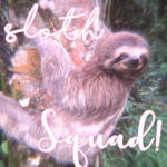~!!SlothSquad!!~