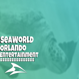 Bayside stadium | Seaworld Orlando