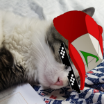 El Soni kito