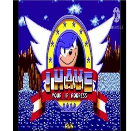 i have your stuff -sonic Roblox decal
