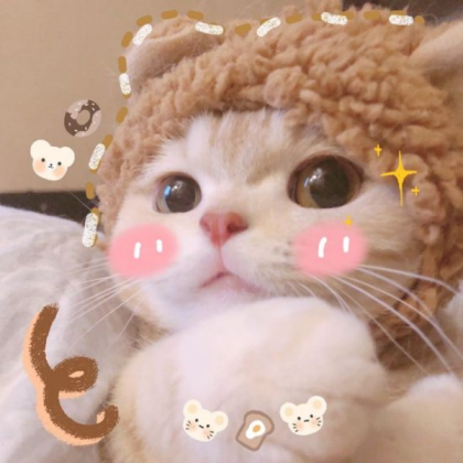 🐻🌸»Kitty In Bear Hoodie«🌸🐻 Roblox decal
