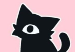 Seek cat Studios